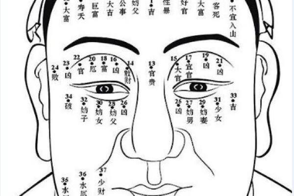 左眉有痣的相法图解男人、左眉有痣的男人面相图