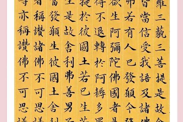 佛教文化知识讲解无量寿经(佛说无量寿经全文讲解)