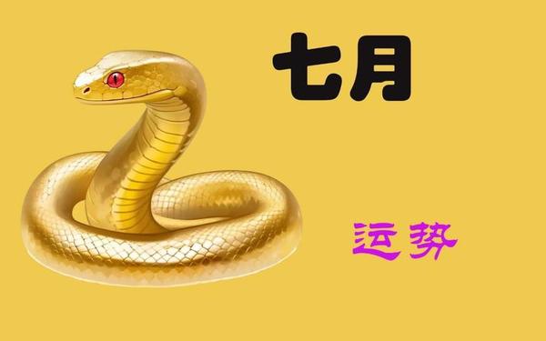65出生的蛇今年每月运气 65出生的蛇今年每月运气