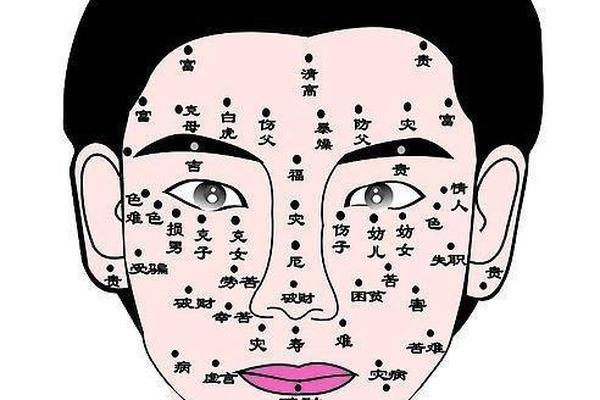 痣相女脖子上部痣相图解—女人脖子上的痣全图解 痣相女脖子上部痣相图解—女人脖子上的痣全图解
