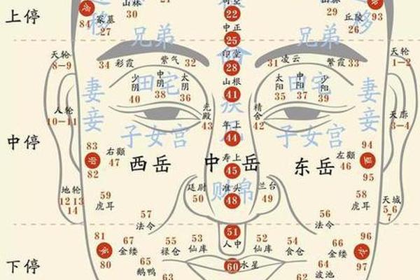 男相颧骨有颗痣代表什么-男性右侧颧骨位置有颗痣
