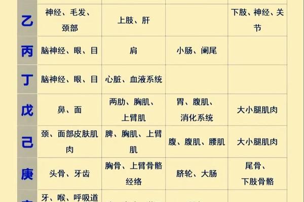 八字基础知识入门