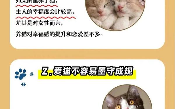 92的属猴的人可以养猫(属猴的养猫好不好吗) 92的属猴的人可以养猫(属猴的养猫好不好吗)