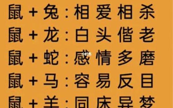 属鼠男跟属兔女合适做夫妻吗好吗_属兔女和属鼠男的合不合 属鼠男跟属兔女合适做夫妻吗好吗_属兔女和属鼠男的合不合