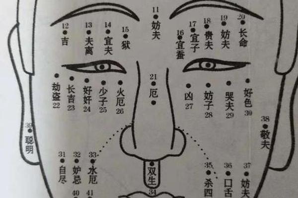 麻衣神相痣图解佛教,麻衣神相全身痣图解