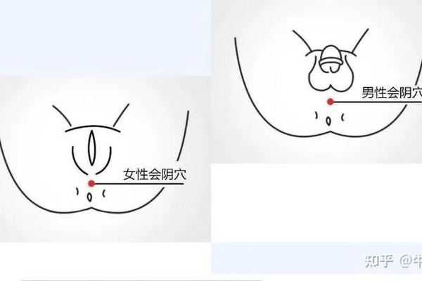 会阴穴痣相身体的痣、男人全身痣相图解命运