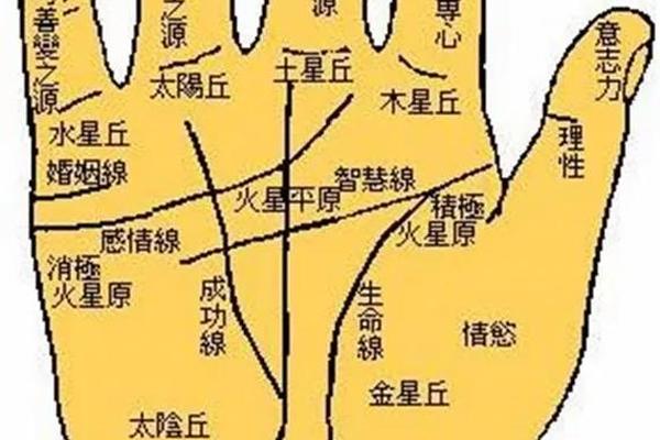 男人手相痣相大全图解—手掌痣图解 男性 男人手相痣相大全图解—手掌痣图解 男性