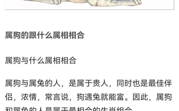 男狗女兔千万别在一起 男狗女兔千万别在一起