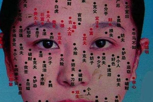 子宫有痣女人财相—女人子女宫有痣代表什么