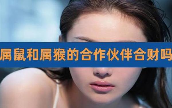 属猴和属鼠做生意合财吗,猴和鼠在一起谁带财 属猴和属鼠做生意合财吗,猴和鼠在一起谁带财