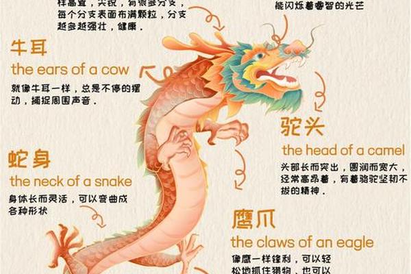龙文化的精神内涵(龙的文化内涵简短)
