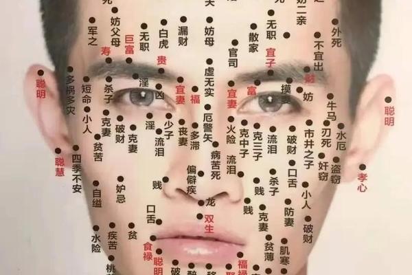 男人左边嘴角下面的痣相(男生左嘴角下方有痣什么相)