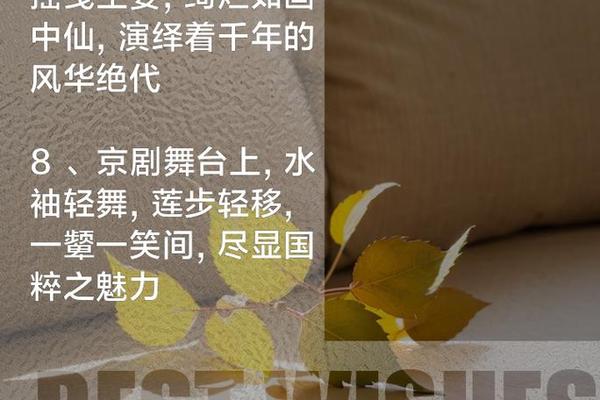 国粹文化经典语录摘抄—一句话形容国粹