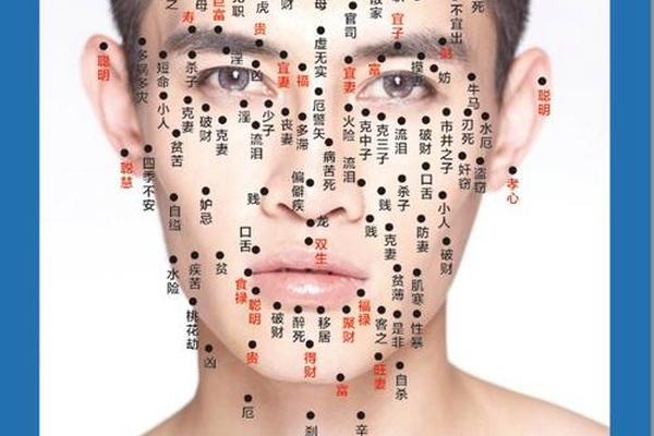 鼻相长痣图解大全-鼻子上的痣是什么痣