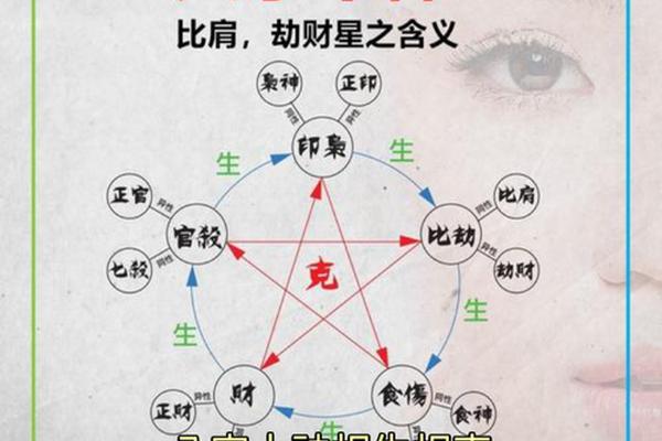 八字  十神