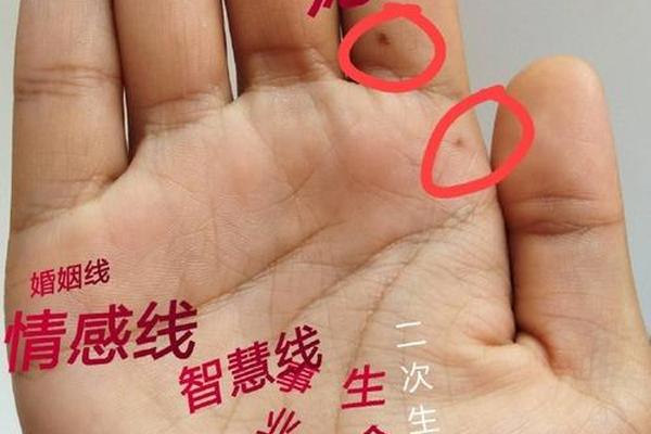看痣相大师直播视频 沈大师直播平台