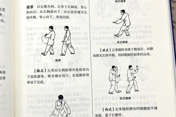 太极思维文化精髓-国学初学者先学什么