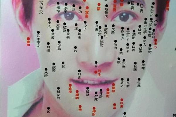 看男相祛痣图解大全图片—面部点痣图男图解