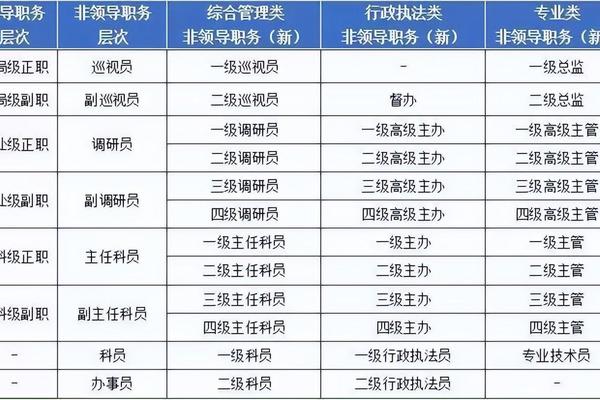 名称姓名职务职称