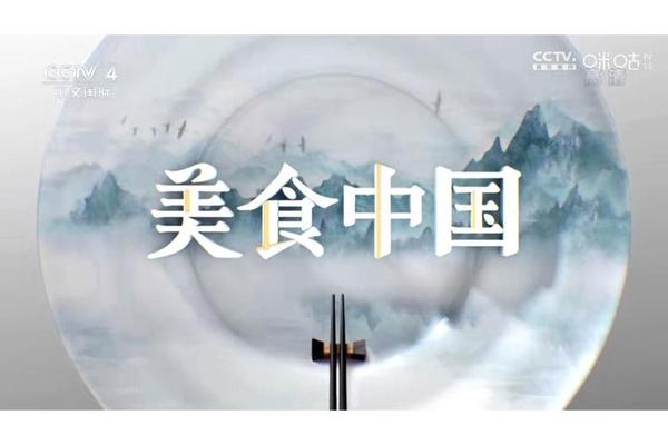 传统饮食文化纪录片(饮食文化的意义)