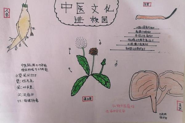 中医药文化宣传活动简报_中医适宜技术宣传美篇