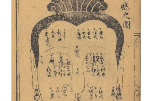 麻衣神相痣图解女怎们看_麻衣神相女人面痣图解