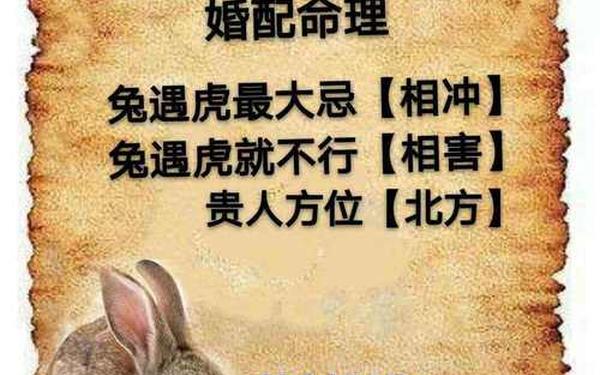 99年属兔男婚配表 99年属兔男婚配表