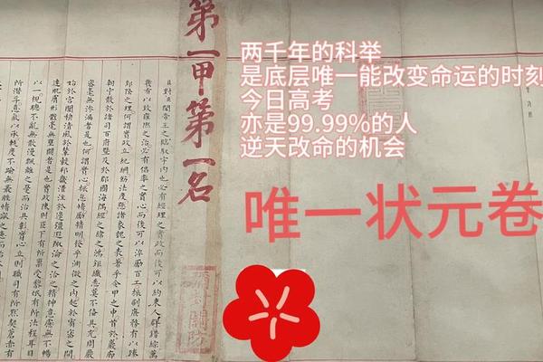 状元文化(状元文化的精神有哪些)