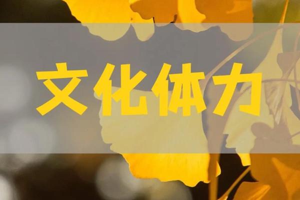 文化 文化