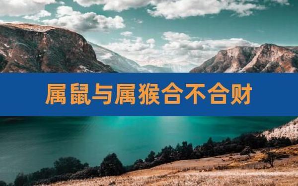 属猴与属鼠的合不合-鼠和猴在一起对谁不利 属猴与属鼠的合不合-鼠和猴在一起对谁不利