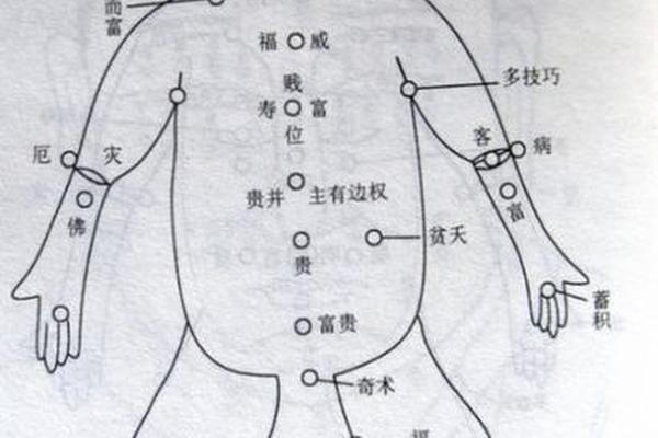 身上有痣相讲解;人体全身痣相图解