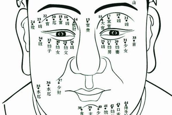 男手心痣相、男面部痣相解析图 男手心痣相、男面部痣相解析图