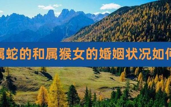 属猴与属蛇能配姻缘吗-属蛇与属猴的婚姻合吗 属猴与属蛇能配姻缘吗-属蛇与属猴的婚姻合吗