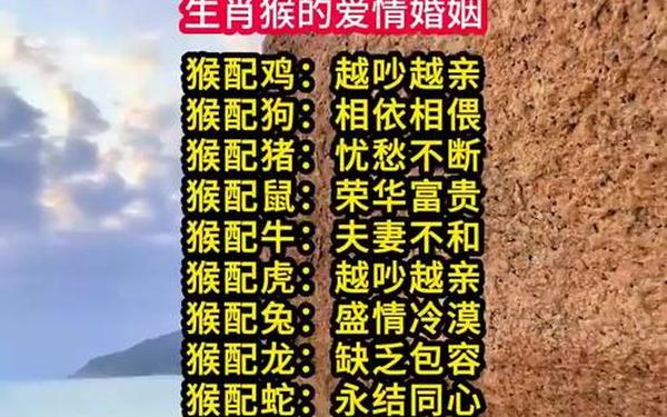 属猴的人怎么对待感情 属猴的性格和脾气及爱情 属猴的人怎么对待感情 属猴的性格和脾气及爱情