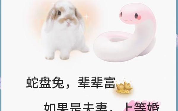 属兔和属蛇的合作和财吗 属兔和属蛇的合作和财吗
