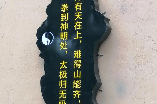 太极文化宣传标语口号(太极文化的标语)