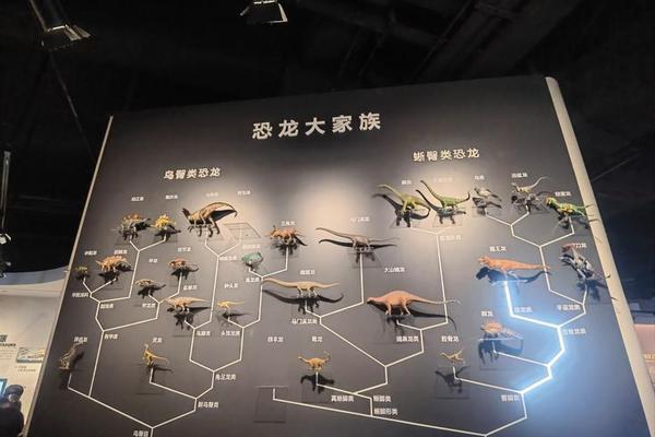 龙文化博物馆在哪—我的恐龙博物馆