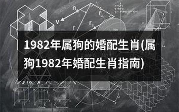 1982年的最佳婚配 1982年的最佳婚配