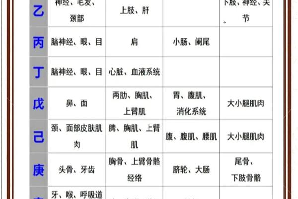 八字天干地支查询