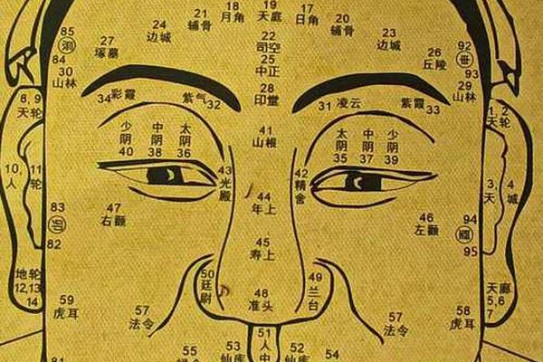 虎耳有痣什么相理(耳朵哪里的痣有福气图) 虎耳有痣什么相理(耳朵哪里的痣有福气图)