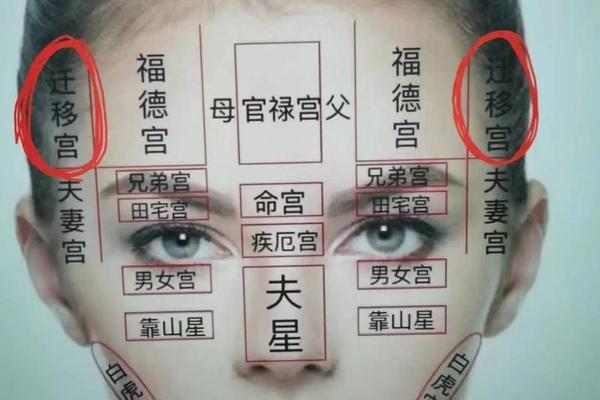 痣相女移宫是什么意思;左边迁移宫有痣代表什么