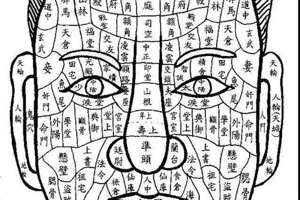 麻衣神相富贵痣(麻衣相法大全图解痣) 麻衣神相富贵痣(麻衣相法大全图解痣)