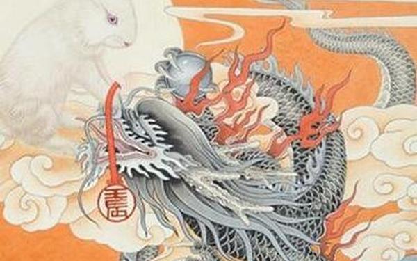 属兔和属龙工作搭档好吗 属兔和属龙工作搭档好吗
