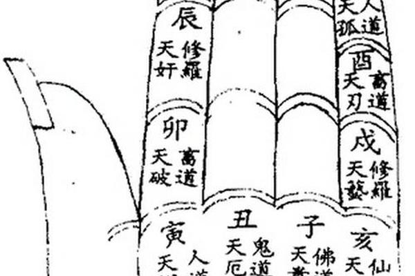 八字仙缘