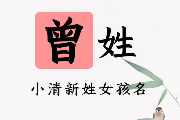 姓名和曾姓名有啥区别呢