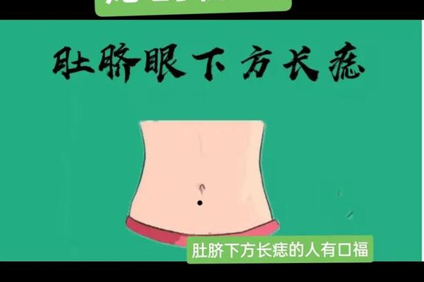 肚脐痣相代表什么数字、肚脐周围痣相图解