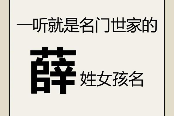 薛姓名牌