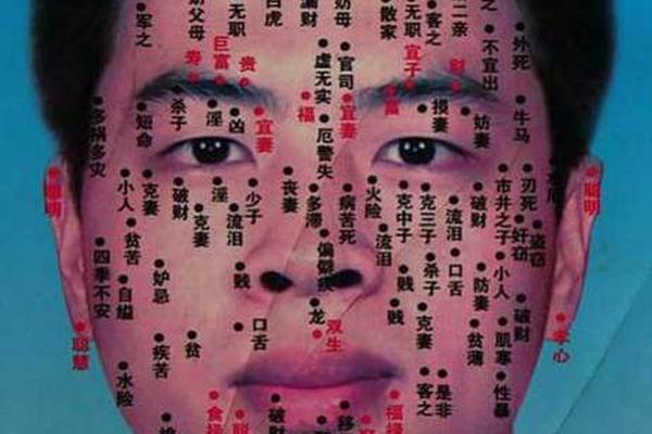 痣相大解析;男面部痣相解析图