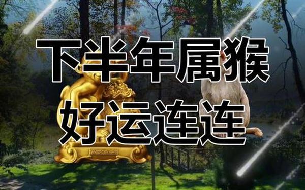 属猴今日运势打麻将_属猴人今天打麻将财运 属猴今日运势打麻将_属猴人今天打麻将财运