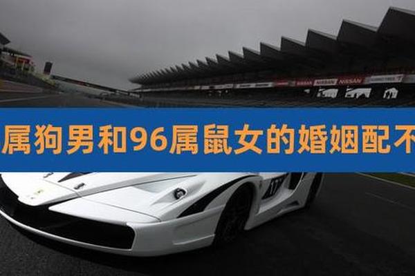94年属狗男人和96年属鼠女人婚配